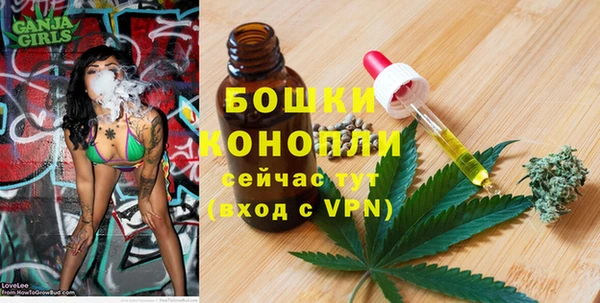 твердый Кодинск