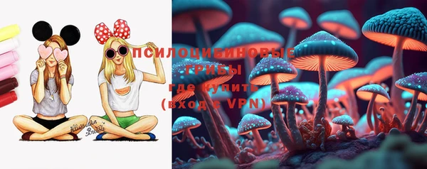 а пвп мука Козельск