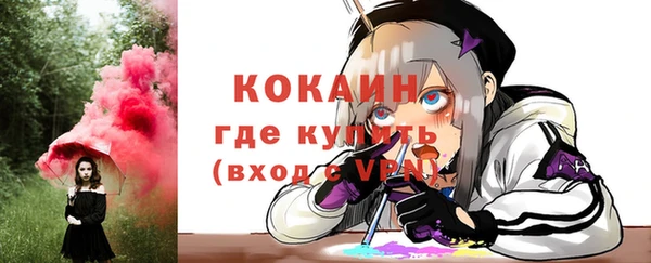ПСИЛОЦИБИНОВЫЕ ГРИБЫ Арсеньев