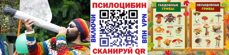 купить наркотики цена  Чухлома  hydra зеркало  Галлюциногенные грибы Cubensis 